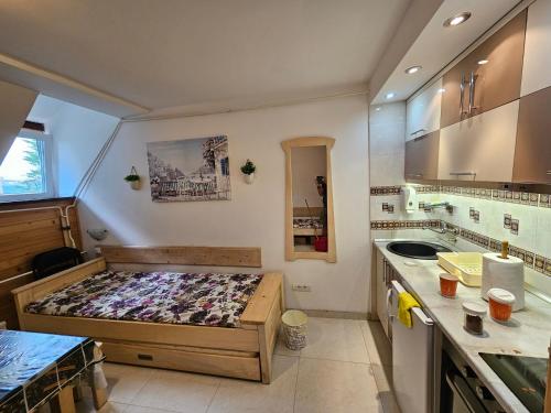 Apartman na stazi Kopaonik ski in ski out smeštaj u centru na dan pored žičare
